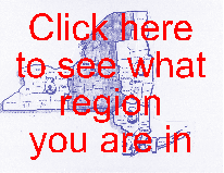 region map